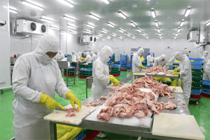 TB 231 Gia công xử lý thịt gà và Chế biến thức ăn ăn kèm